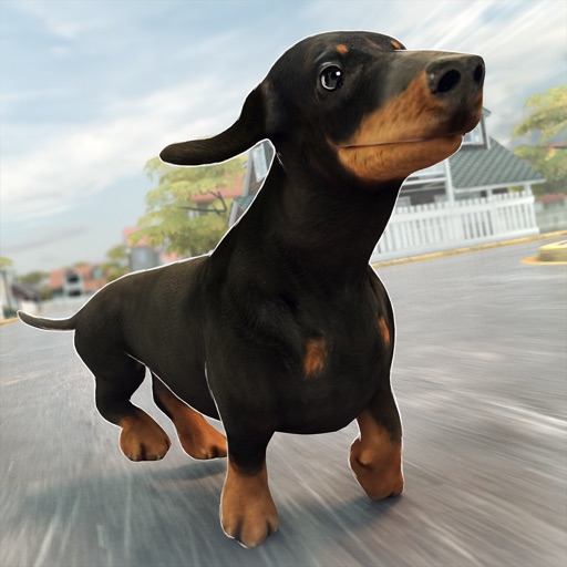 Funny Doggy | Pro Dog Running Training Simulator Game Icon