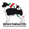 NewStarWood