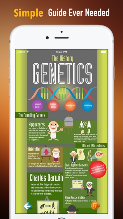 Genes 101:Theory and Biological Basic