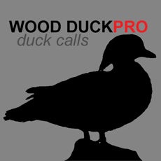 Activities of Wood Duck Calls - Wood DuckPro - Duck Calls