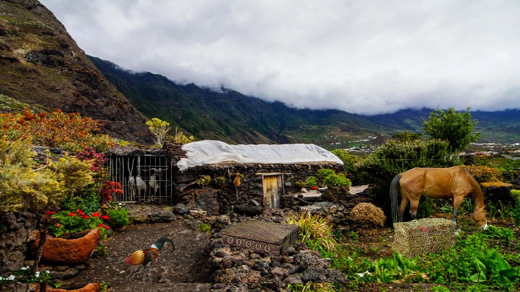 Medieval Village Escape screenshot-3