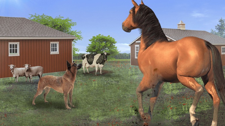 Horse Simulator Forest Rider The Texas Stallion Riding Game