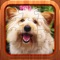 Cute Dog Jigsaw Puzzles for Kids - Animal Learning Fun Games