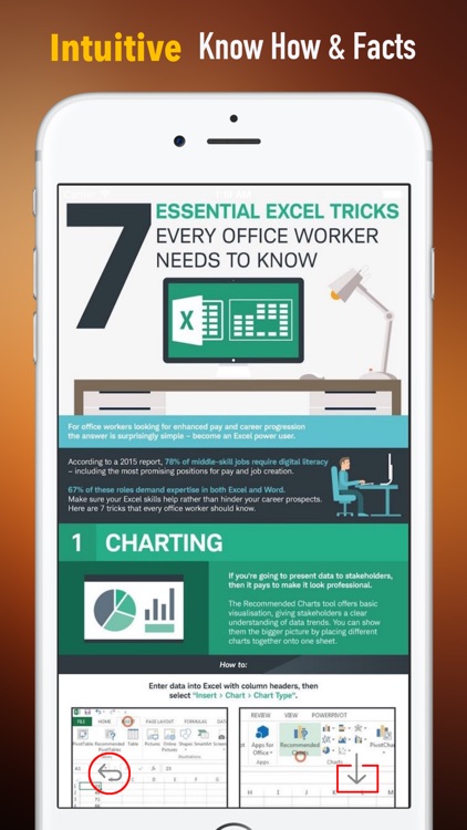 PowerPivot for Beginners:Excel,Formulas and Simple Guide
