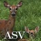 Psalm Daily Quotes - Taken from the American Standard Version