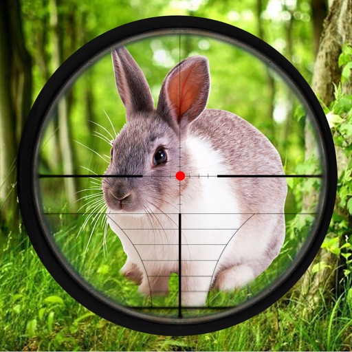 Rabbit Hunting Challenge Game icon