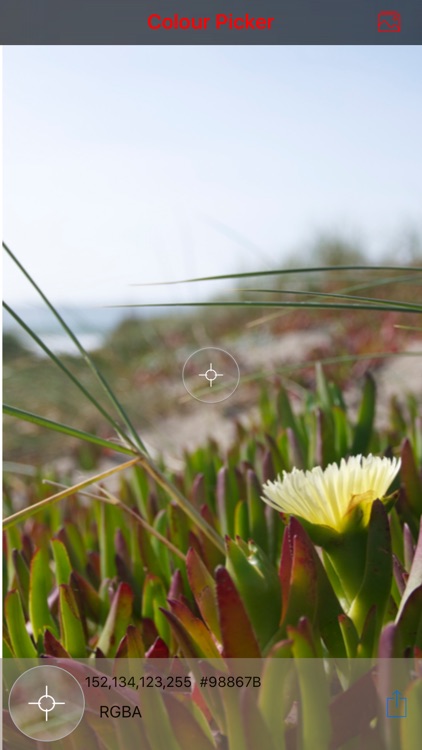 Color Picker Pro - Image Pixel Picker