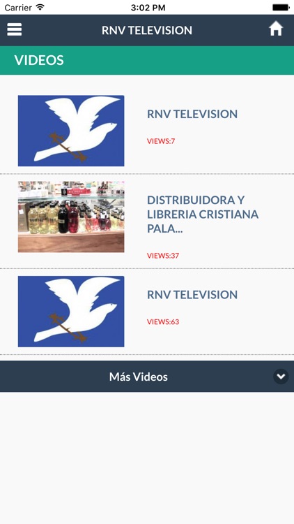 RNV Television