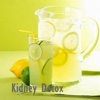 Kidney Detox for Beginners:Diet Guide and Healthy Recipes,Chronic Kidney Disease