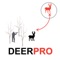 Are you a deer hunter who loves to hunt for whitetail deer