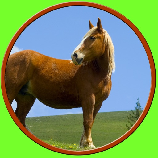 friendly horses for kids - free icon