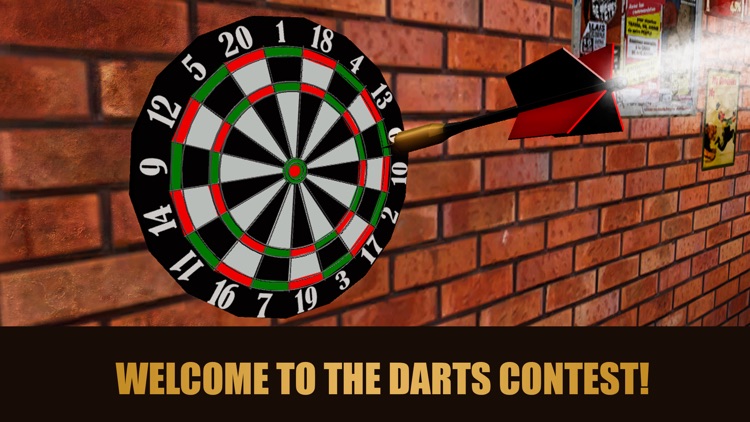 Darts Master Championship 3D