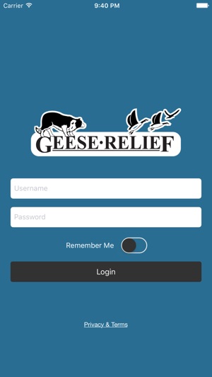 Geese Relief(圖5)-速報App