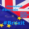 Brexit Stickers - Are EU In or Out?