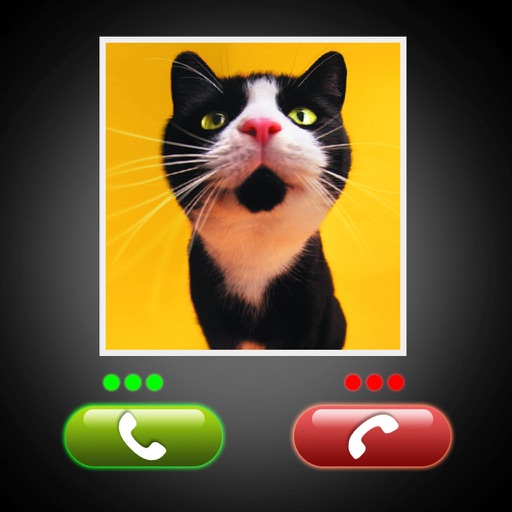 Fake Call Cat Prank Icon
