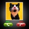 Fake Call Cat Prank