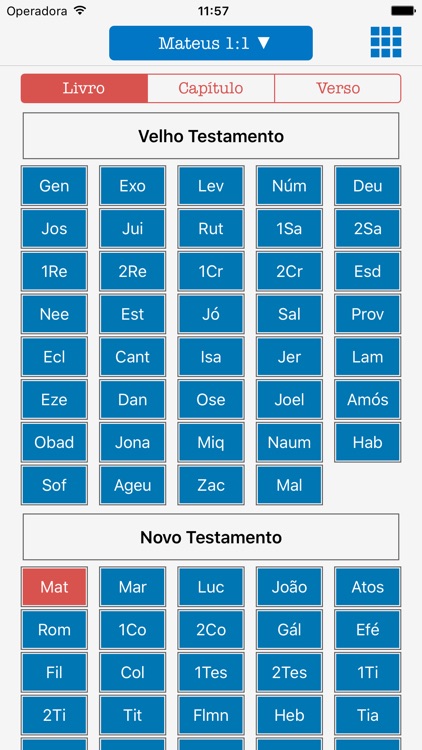 Holy Bible Audio in Portuguese screenshot-4