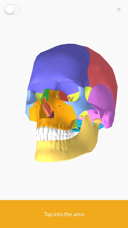 3D Anatomy teachr