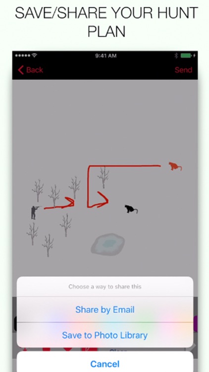 Mountain Lion Hunting Strategy - Plan Your Mountain Lion Hunt