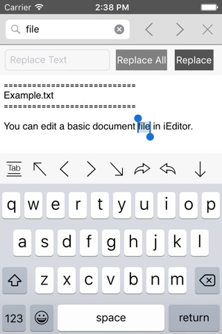 iEditor – Text Code Editor screenshot 4