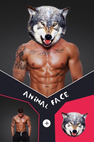 Animal Face Morph - Sticker Photo Editor to Blend Yr Skin with Wild Effects screenshot 2