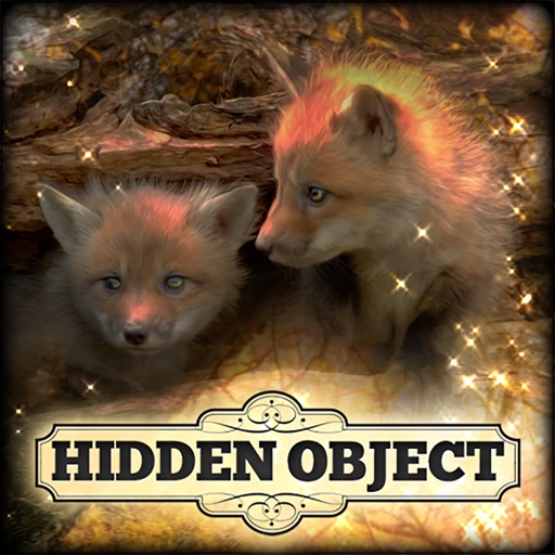 Hidden Object: Little Lovebugs icon