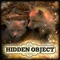 Hidden Object: Little Lovebugs