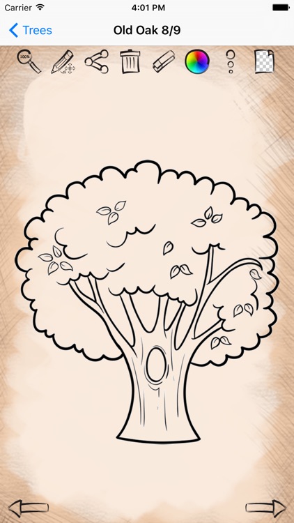 Easy Draw Trees And Leaves screenshot-3