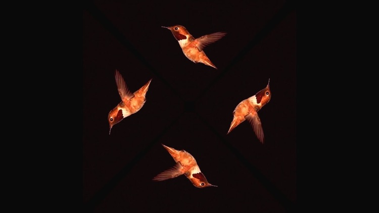 Hologram Video Player screenshot-4