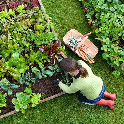 Kitchen Waste as Recycled Gardening:Composting Guide and Tips