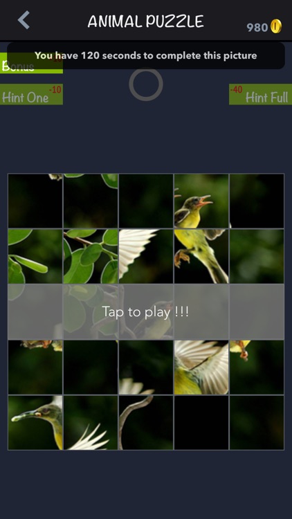 Pic Puzzle - Animal