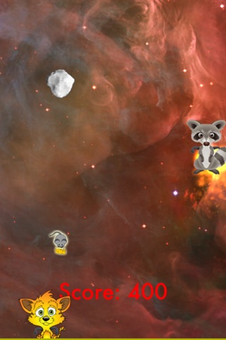 Cat vs Raccoon screenshot 2