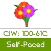 CIW: 1D0-61C - Network Technology Associate
