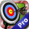 Bow and Arrow Game Pro - Archery Skills Training
