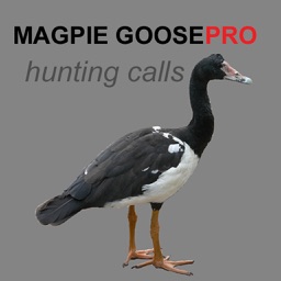 REAL Magpie Goose Calls - Hunting Calls for Magpie Geese - (ad free) BLUETOOTH COMPATIBLE