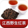 江西野生红茶