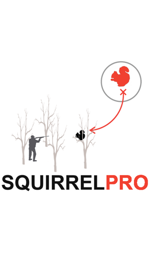 Squirrel Hunting Strategy - Squirrel Hun