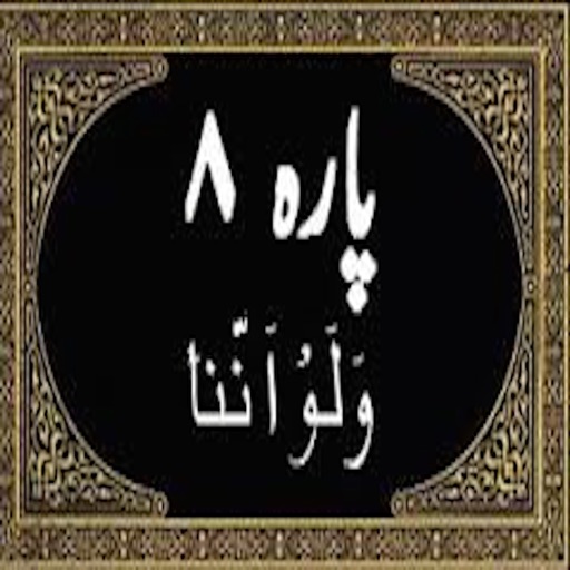 Para No 8 (Al-Quran) icon