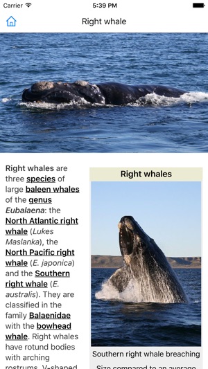 CHI Encyclopedia of Whales(圖5)-速報App