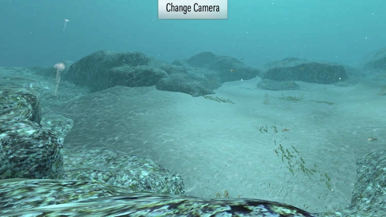 Underwater Sea Simulation