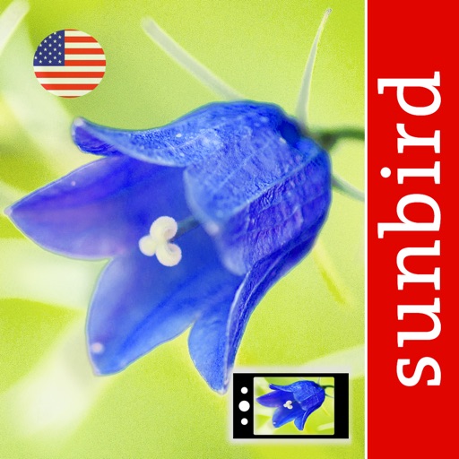 Wild Flower Id USA Photo Recognition - Eastern States Nature Guide of North America