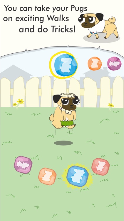 Growing Pug screenshot-3