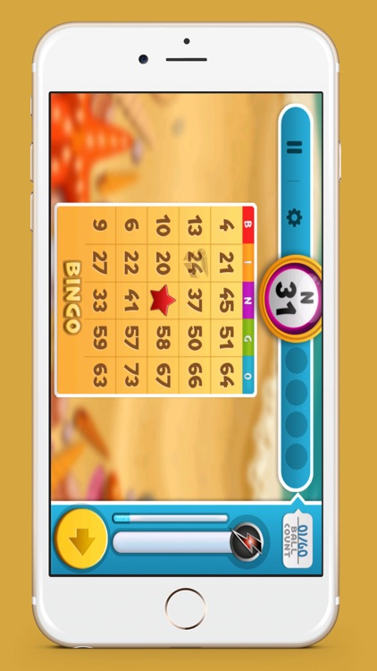 Bingo Magic-Adventure screenshot-3