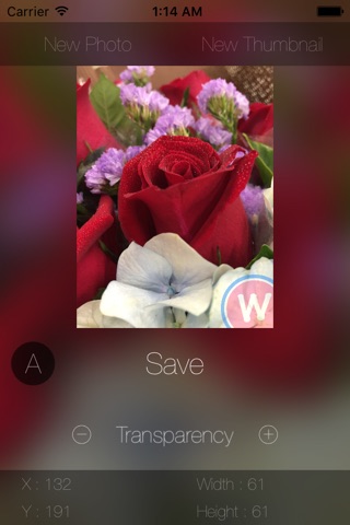 Watermarkable - Add Watermark, Emoji to Photos Or Merge Photos screenshot 4