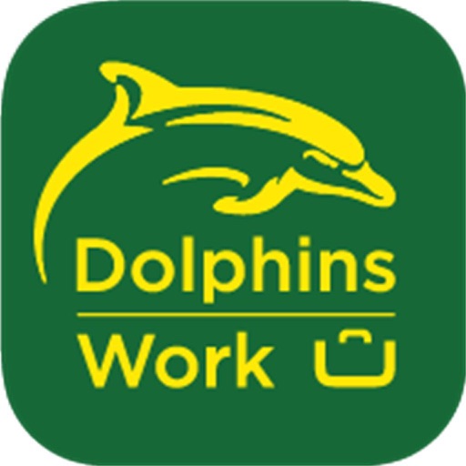 DolphinsWork