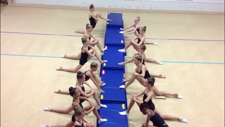 Gymnastics Master Class