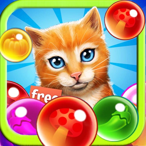 Pop Cat Bubble Shooter Jelly Mania iOS App
