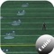 Guide for Madden NFL is the best sports game guide