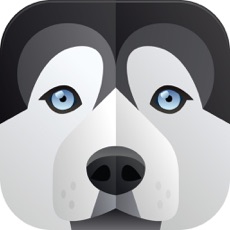 Activities of Dog Breeds Quiz - Guess the Dogs and Puppies Game