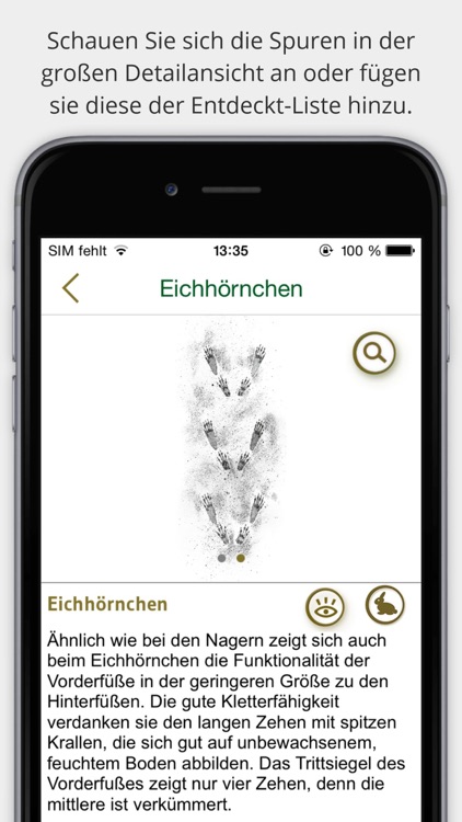 Tierspuren bestimmen –  entdecken Sie die 100 wichtigsten heimischen Tierarten an ihren Spuren screenshot-3